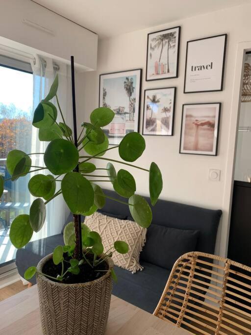 L'Appart 204, Superbe Appartement En Residence 빌레쉬르메르 외부 사진